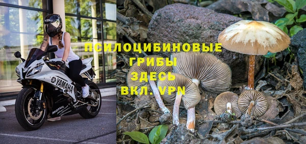 ALPHA-PVP Абинск